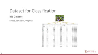 Dataset for Classification
Iris Dataset:
Setosa, Versicolor, Virginica
12
 