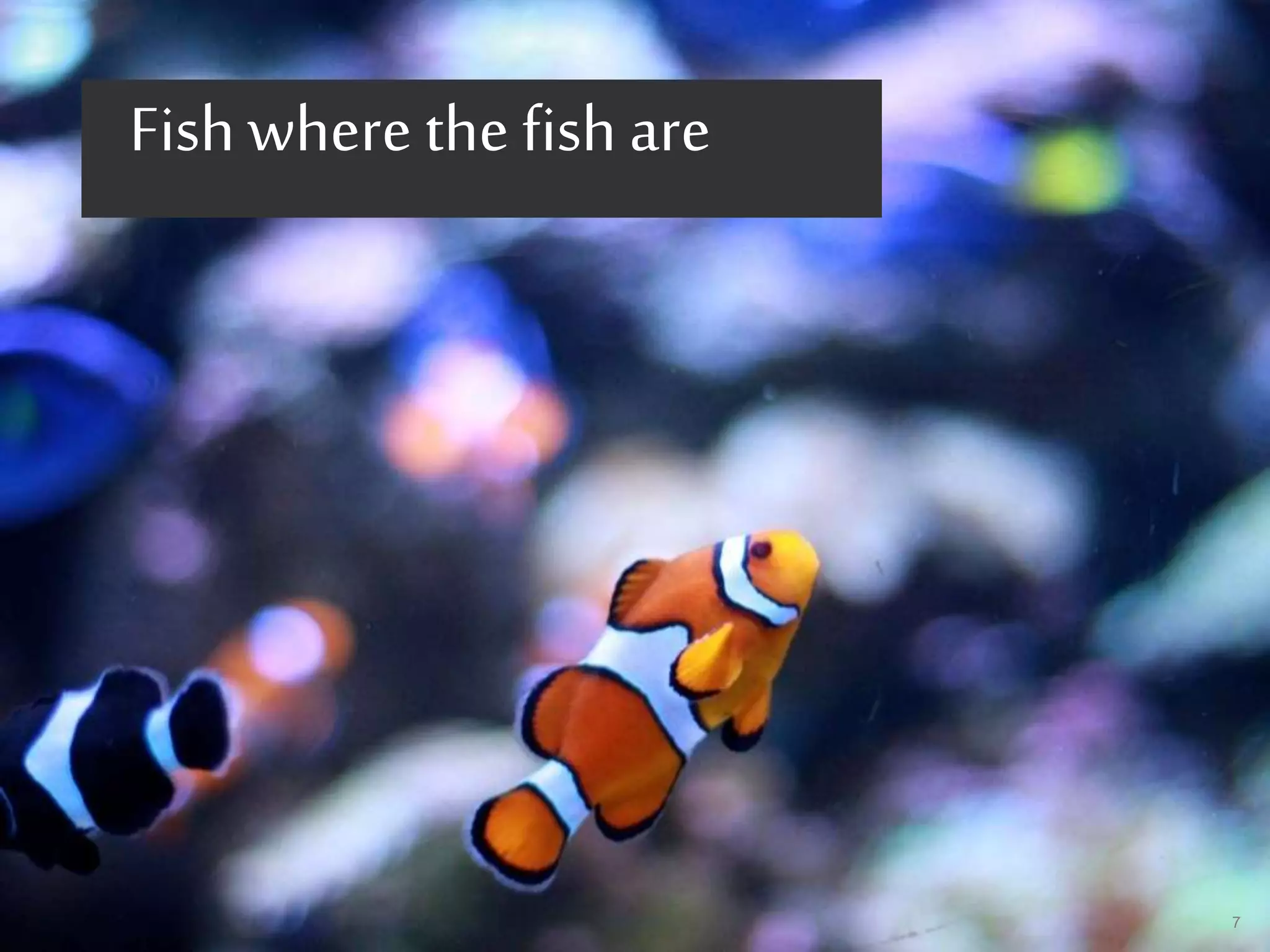 UED BRAND & MARKETING 7
Fish where the fish are
 