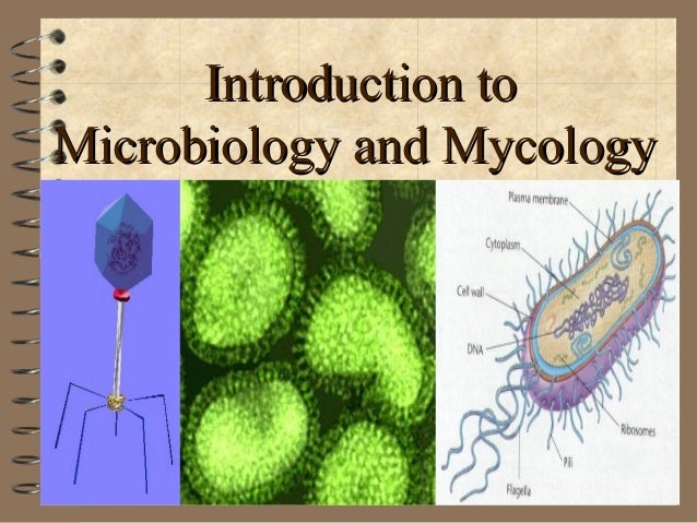 Image result for bacteriology
