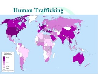 Human Trafficking 