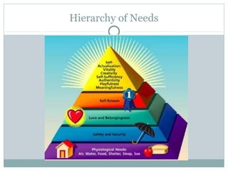 Hierarchy of Needs
 