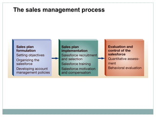 The sales management process
 