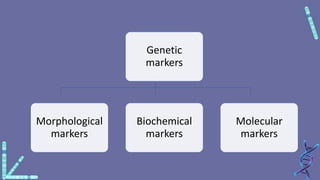 intro to morphological, biochemical and molecular markers.pdf