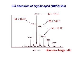 ESI Spectrum of Trypsinogen (MW 23983)
1599.8
1499.9
1714.1
1845.9
1411.9
1999.6
2181.6
M + 15 H+
M + 13 H+
M + 14 H+
M + 16 H+
m/z Mass-to-charge ratio
 
