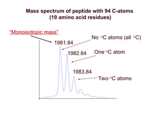 1981.84
1982.84
1983.84
Mass spectrum of peptide with 94 C-atoms
(19 amino acid residues)
No 13
C atoms (all 12
C)
One13
C atom
Two13
C atoms
“Monoisotopic mass”
 