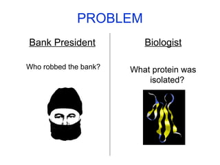 PROBLEM
Bank President
Who robbed the bank?
Biologist
What protein was
isolated?
 