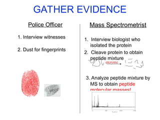 Mass Spectrometrist
1. Interview biologist who
isolated the protein
2. Cleave protein to obtain
peptide mixture
3. Analyze peptide mixture by
MS to obtain peptide
molecular masses!
GATHER EVIDENCE
Police Officer
1. Interview witnesses
2. Dust for fingerprints
enzyme
 
