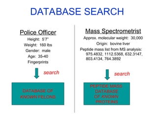 DATABASE SEARCH
Police Officer
Height: 5’7”
Weight: 160 lbs
Gender: male
Age: 35-40
Fingerprints
Mass Spectrometrist
Approx. molecular weight: 30,000
Origin: bovine liver
Peptide mass list from MS analysis:
975.4832, 1112.5368, 632.3147,
803.4134, 764.3892
DATABASE OF
KNOWN FELONS
PEPTIDE MASS
DATABASE
OF KNOWN
PROTEINS
search search
 
