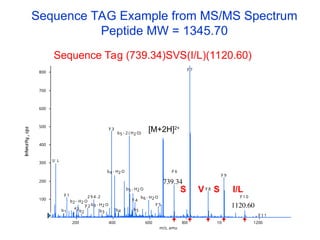 Sequence TAG Example from MS/MS Spectrum
Peptide MW = 1345.70
y 1 1
y 1 0
y 9
y 8
y 7
y 6
y 5
y 4
y 3
y 2
y 1
b1 b2 b3 b4 b5
I/ L
a2
2 9 4 .2
b2 - H2 O
b3 - H2 O
b4 - H2 O
b5 - H2 O
b6 - H2 O
b5 - 2 ( H2 O)
200 400 600 800 1000 1200
m/z, amu
100
200
300
400
500
600
700
800
Sequence Tag (739.34)SVS(I/L)(1120.60)
739.34
1120.60
[M+2H]2+
S V I/L
S
 