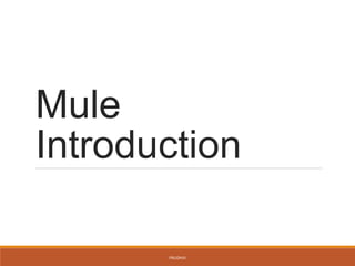 Mule
Introduction
PRUDHVI
 