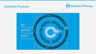 MuleSoft Products
 