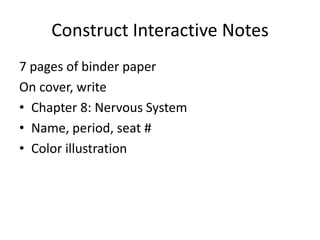 Construct Interactive Notes
7 pages of binder paper
On cover, write
• Chapter 8: Nervous System
• Name, period, seat #
• Color illustration
 