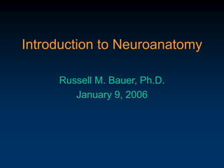 Introduction to Neuroanatomy
Russell M. Bauer, Ph.D.
January 9, 2006
 