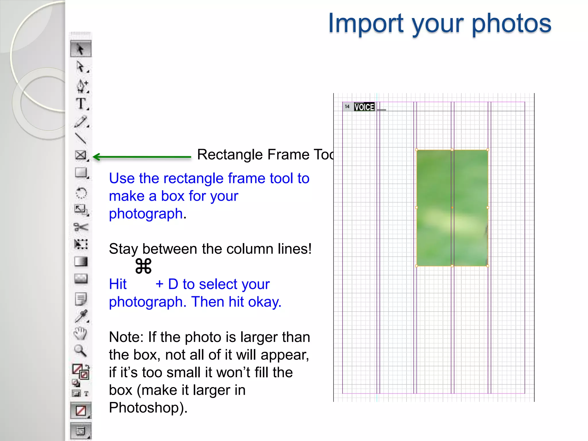 Import your photos 
Rectangle Frame Tool 
Use the rectangle frame tool to 
make a box for your 
photograph. 
Stay between the column lines! 
Hit + D to select your 
photograph. Then hit okay. 
Note: If the photo is larger than 
the box, not all of it will appear, 
if it’s too small it won’t fill the 
box (make it larger in 
Photoshop). 
 