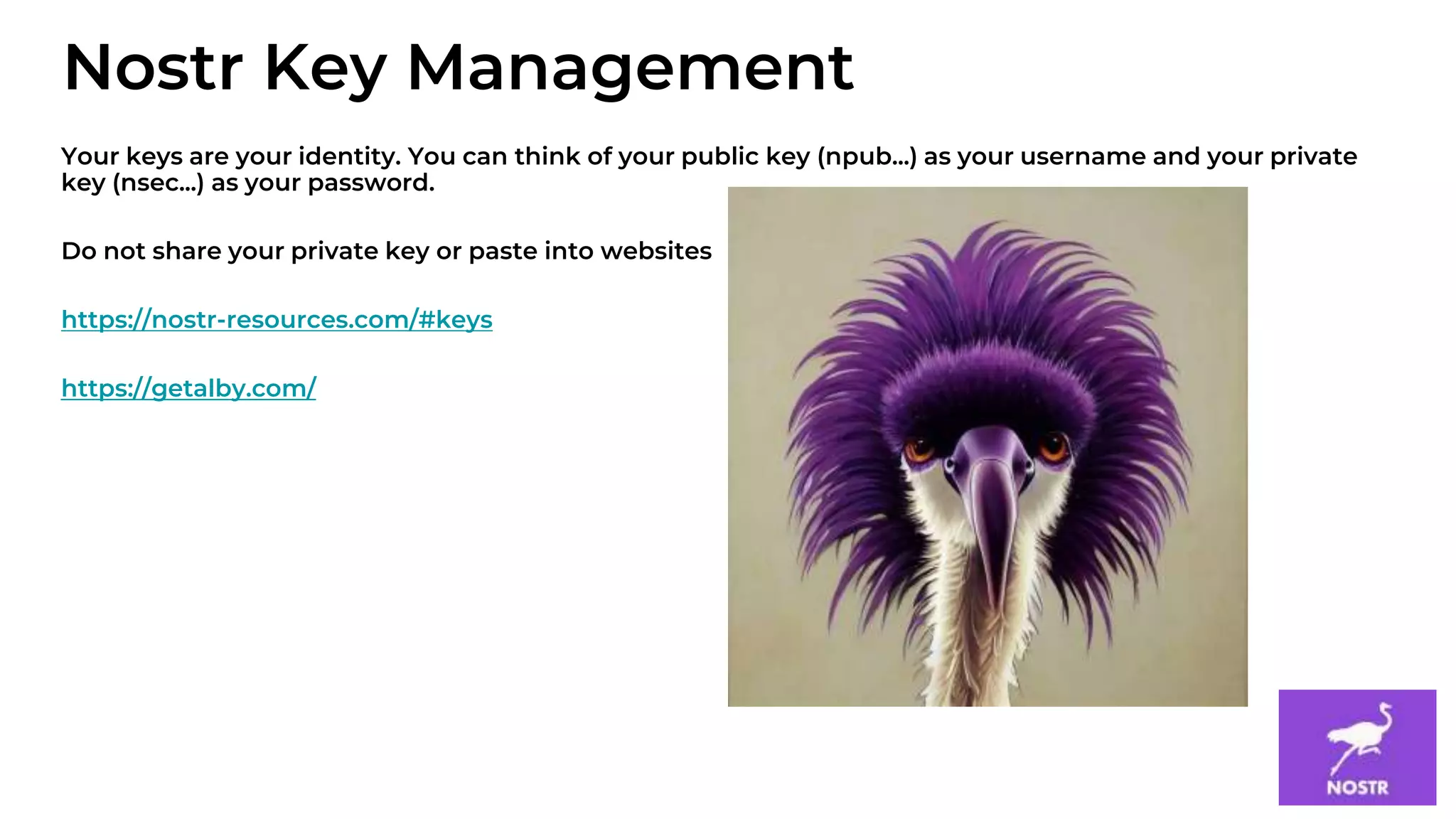 10
Your keys are your identity. You can think of your public key (npub...) as your username and your private
key (nsec...) as your password.
Do not share your private key or paste into websites
https://nostr-resources.com/#keys
https://getalby.com/
Nostr Key Management
 