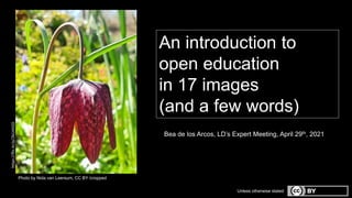 Photo by Nida van Leersum, CC BY /cropped
An introduction to
open education
in 17 images
(and a few words)
Unless otherwise stated
Bea de los Arcos, LD’s Expert Meeting, April 29th, 2021
https://flic.kr/p/2kUnhQ5
 