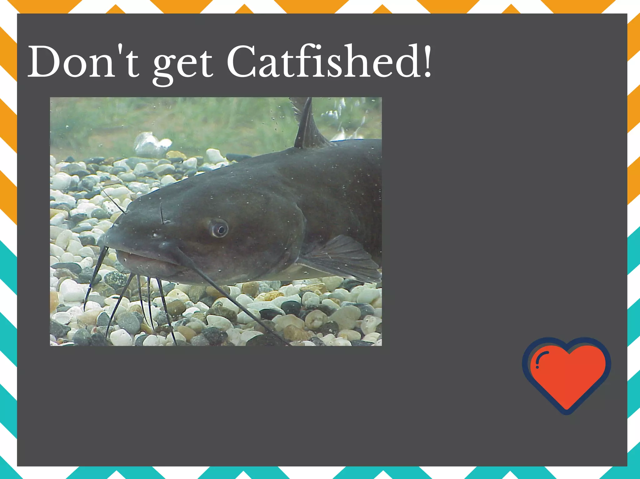 Don't get Catfished!
 