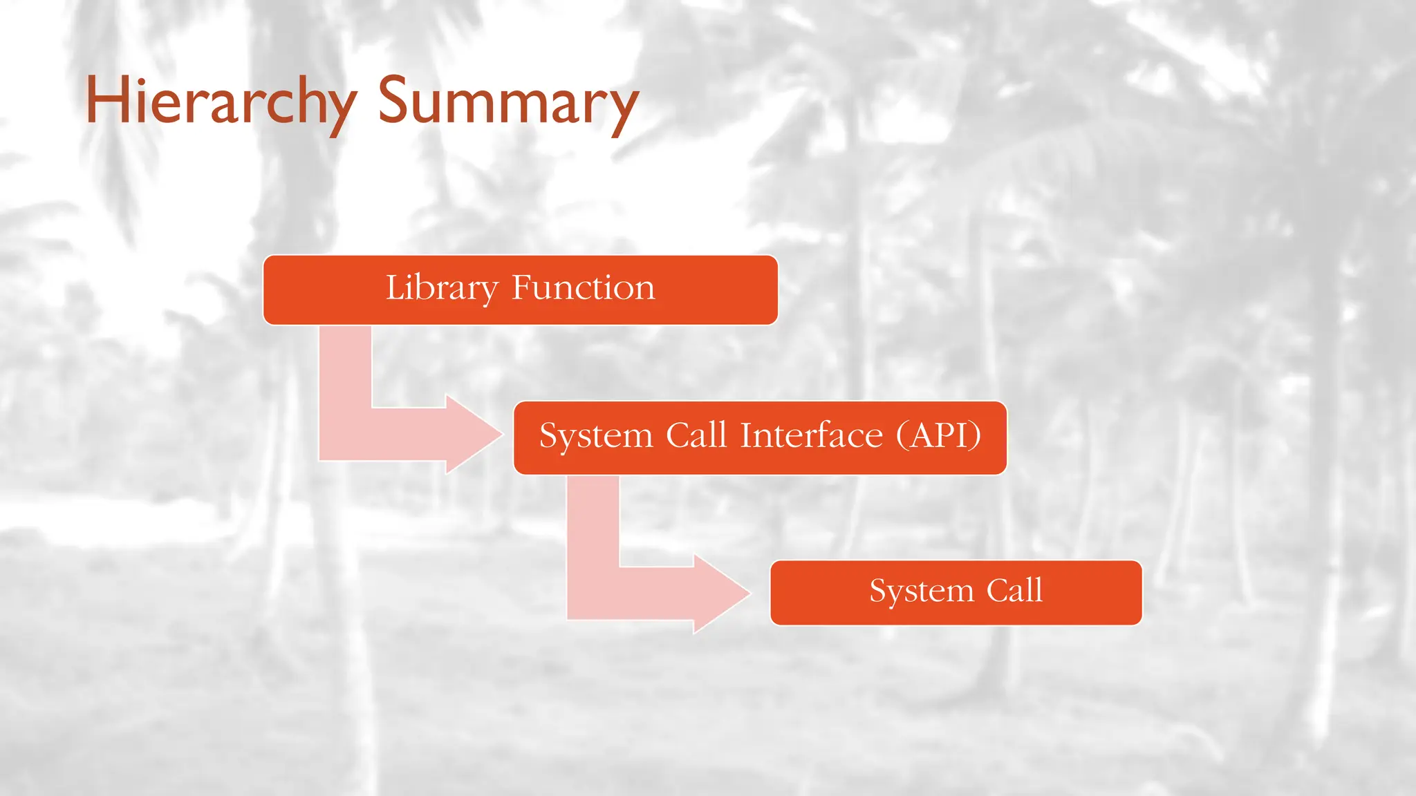 Hierarchy Summary
Library Function
System Call Interface (API)
System Call
 