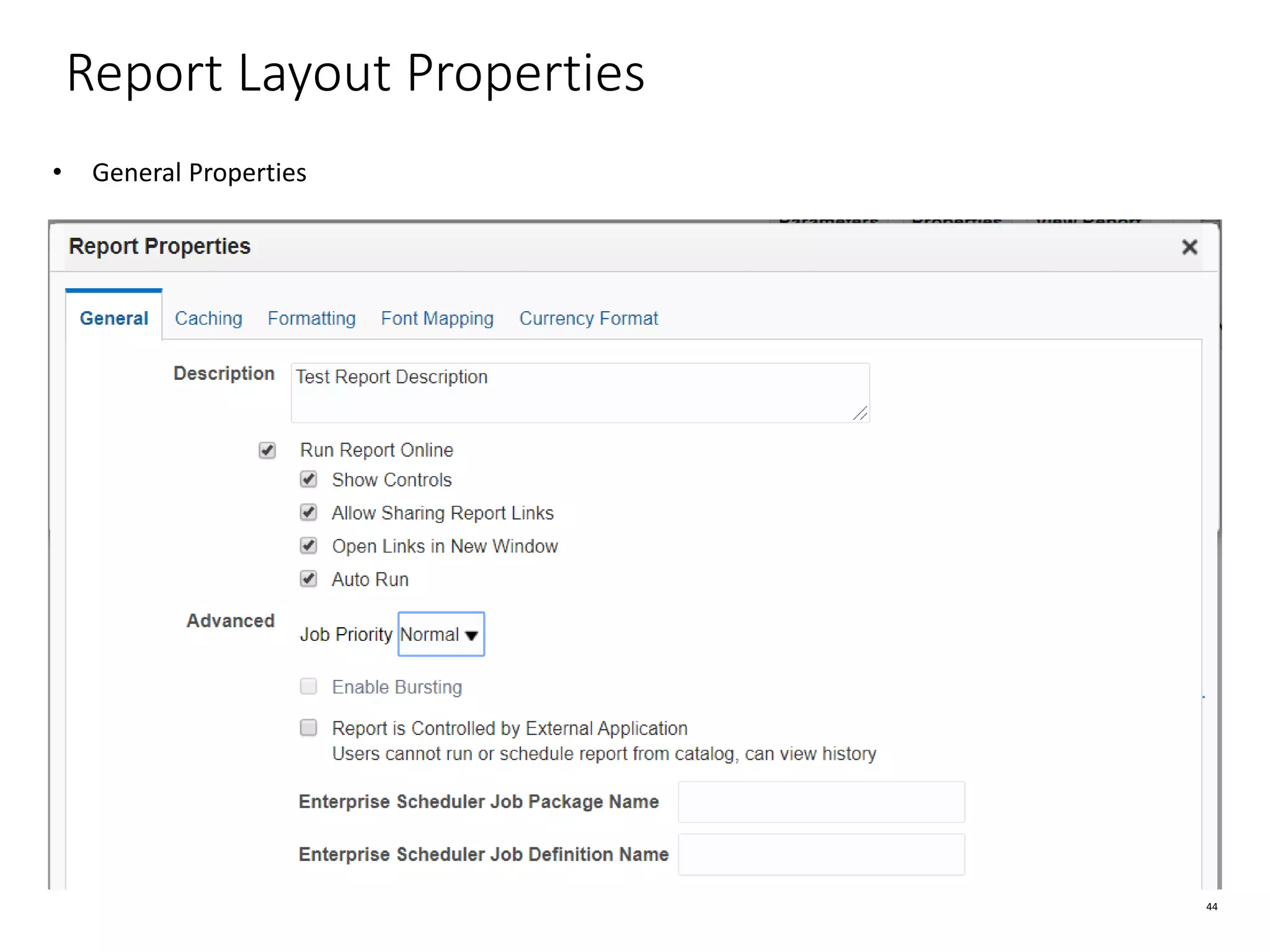 44 Report Layout Properties • General Properties 