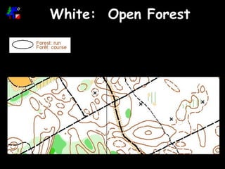 White:  Open Forest 