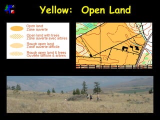Yellow:  Open Land 