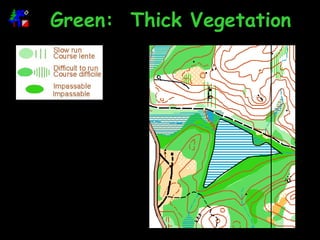 Green:  Thick Vegetation 