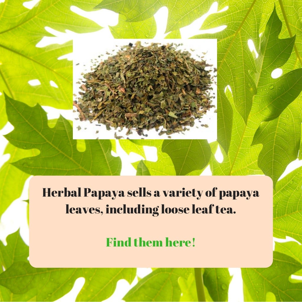 The Health Benefits of Papaya Leaves