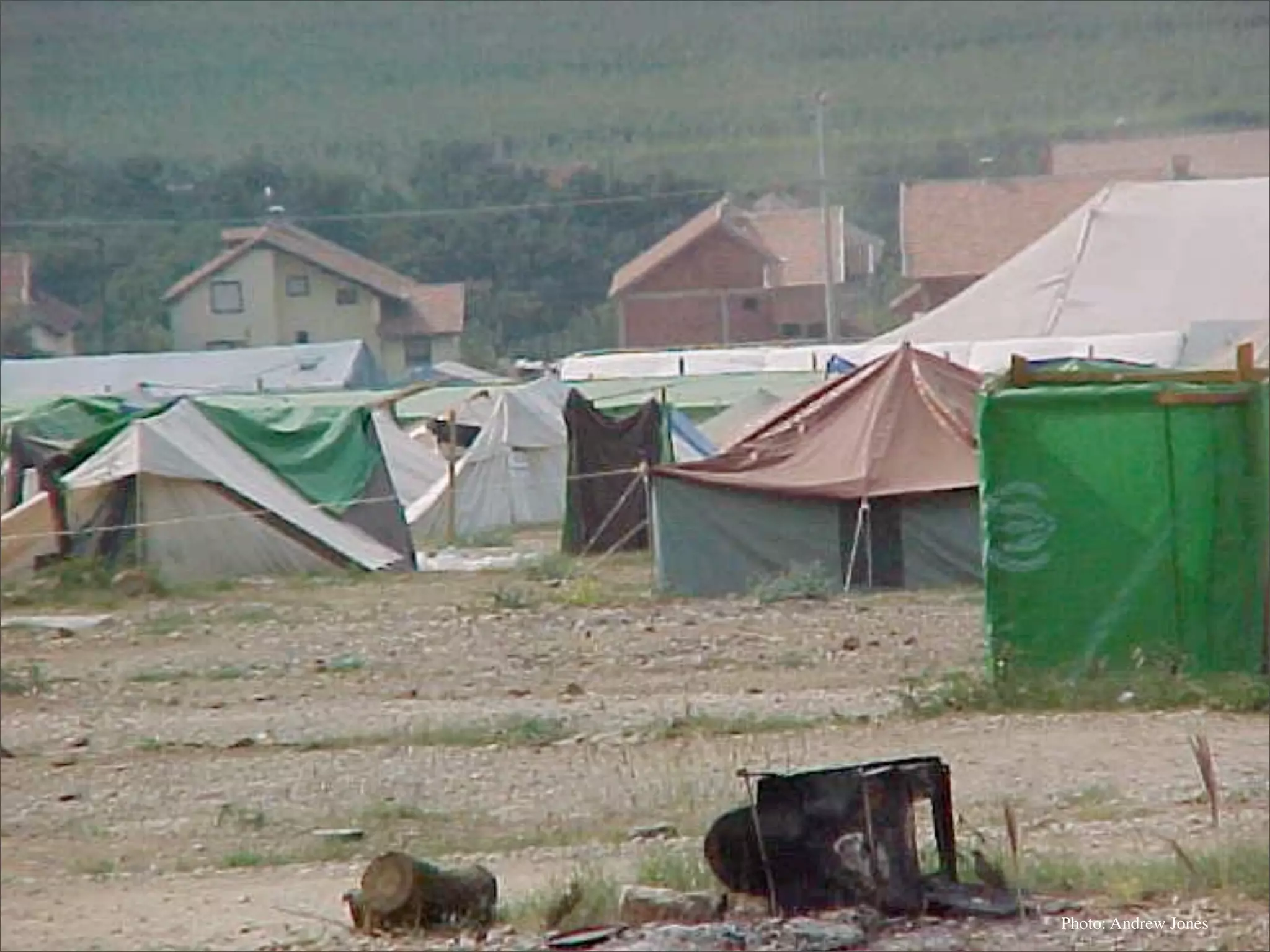 Permaculture: Regenerative Design for Radical Transition