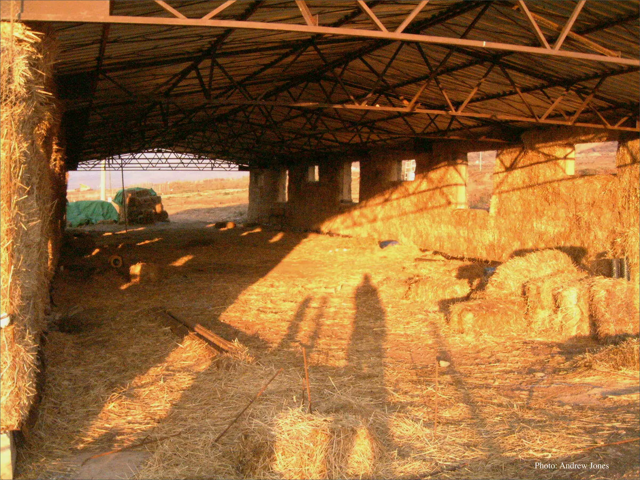 Permaculture: Regenerative Design for Radical Transition