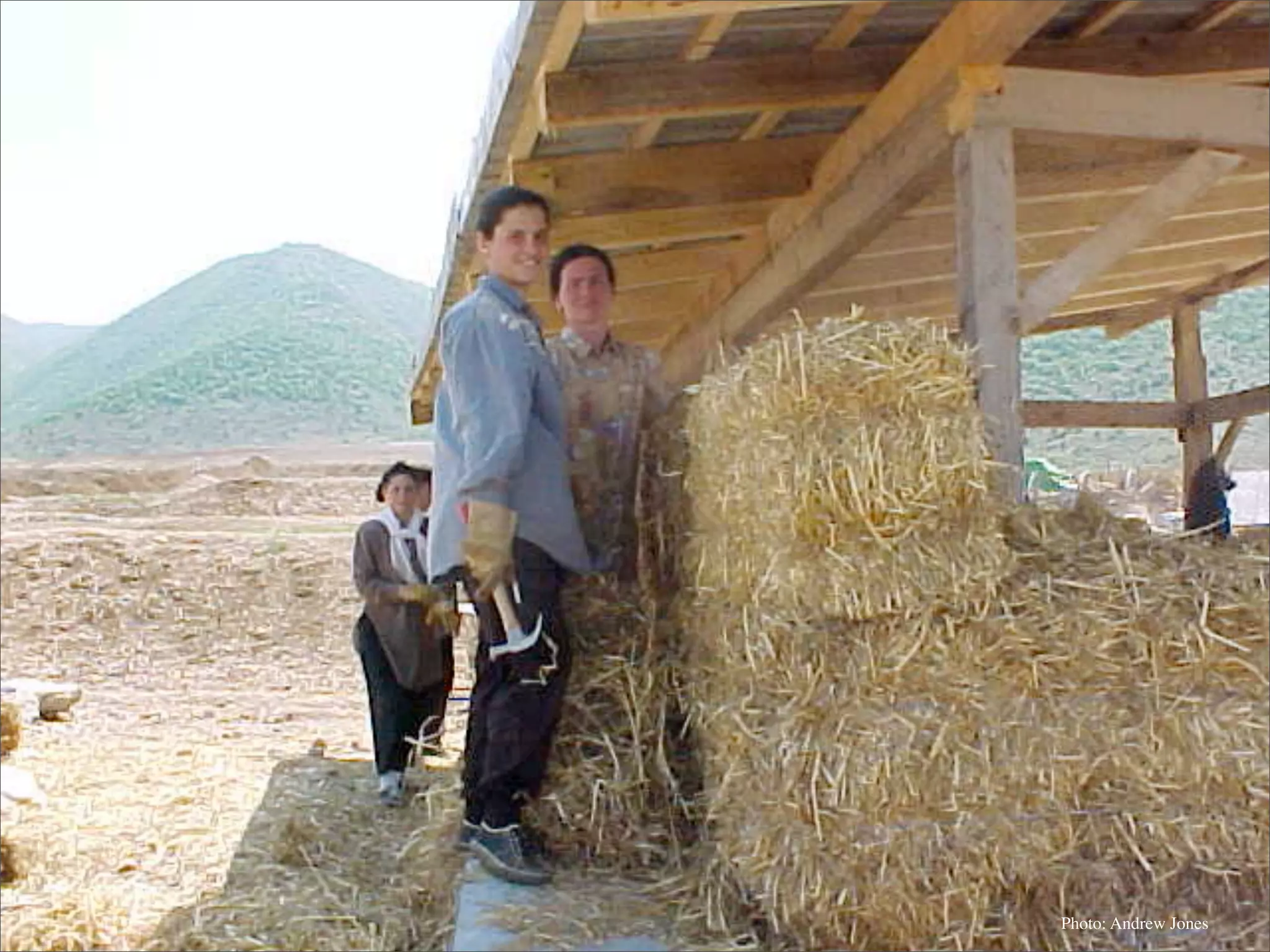 Permaculture: Regenerative Design for Radical Transition