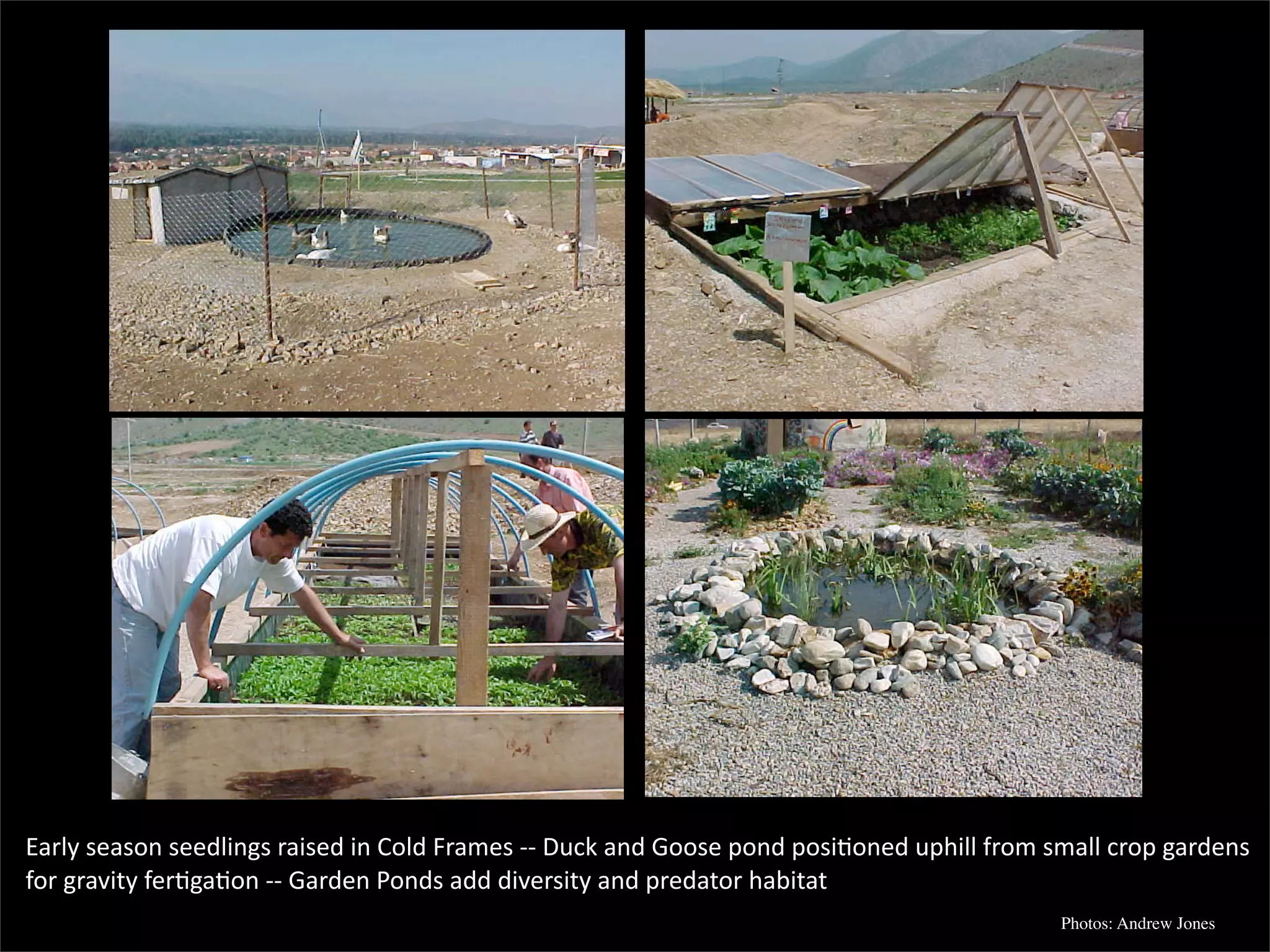 Permaculture: Regenerative Design for Radical Transition