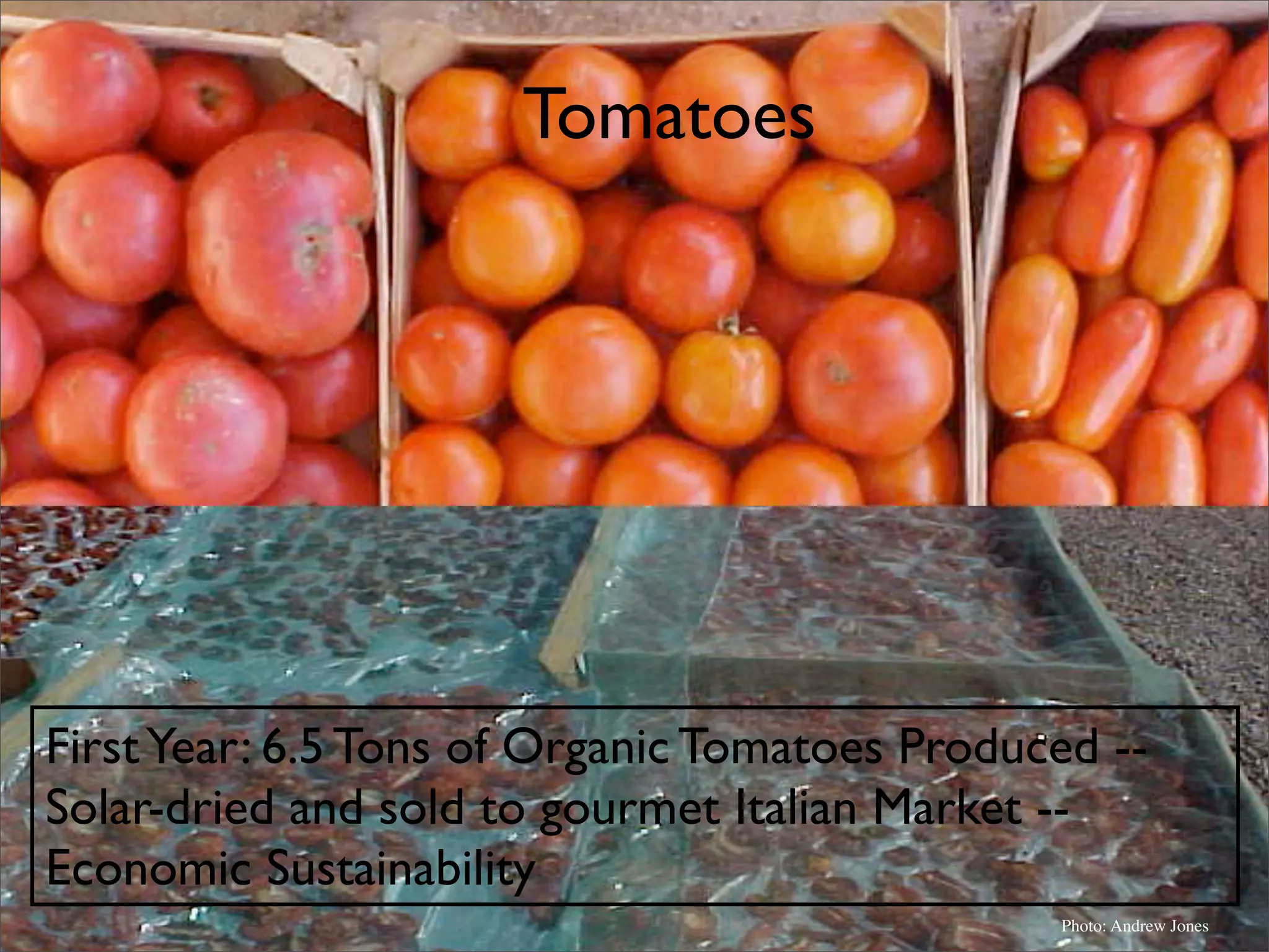 Permaculture: Regenerative Design for Radical Transition