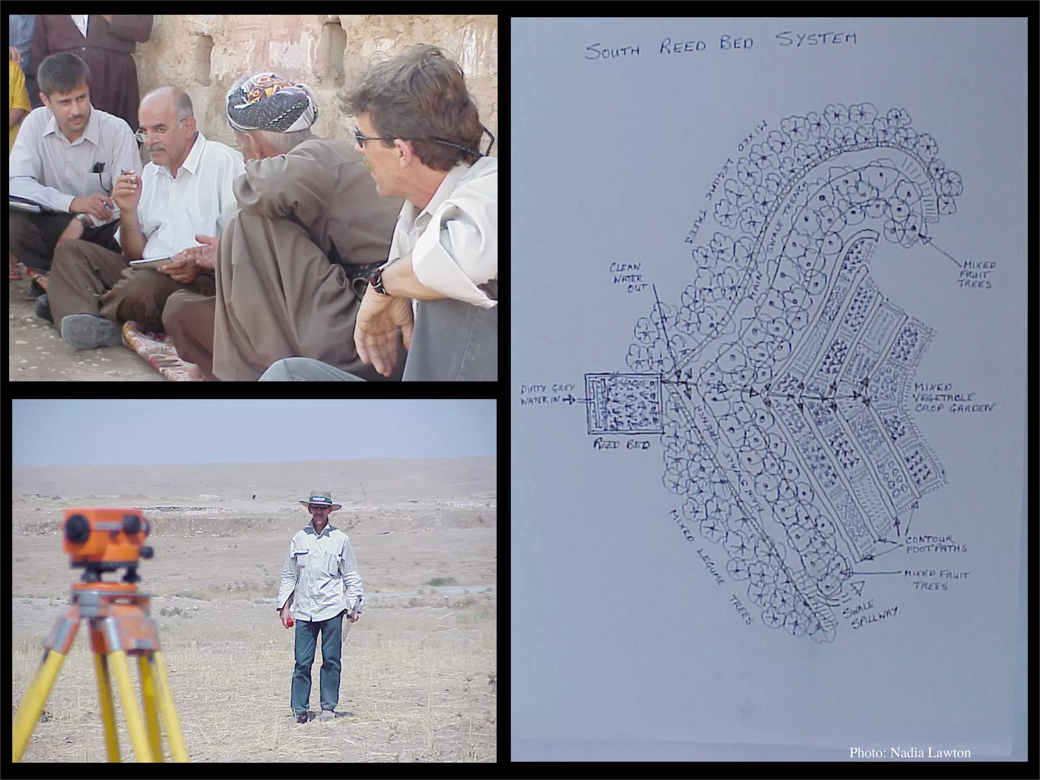 Permaculture: Regenerative Design for Radical Transition