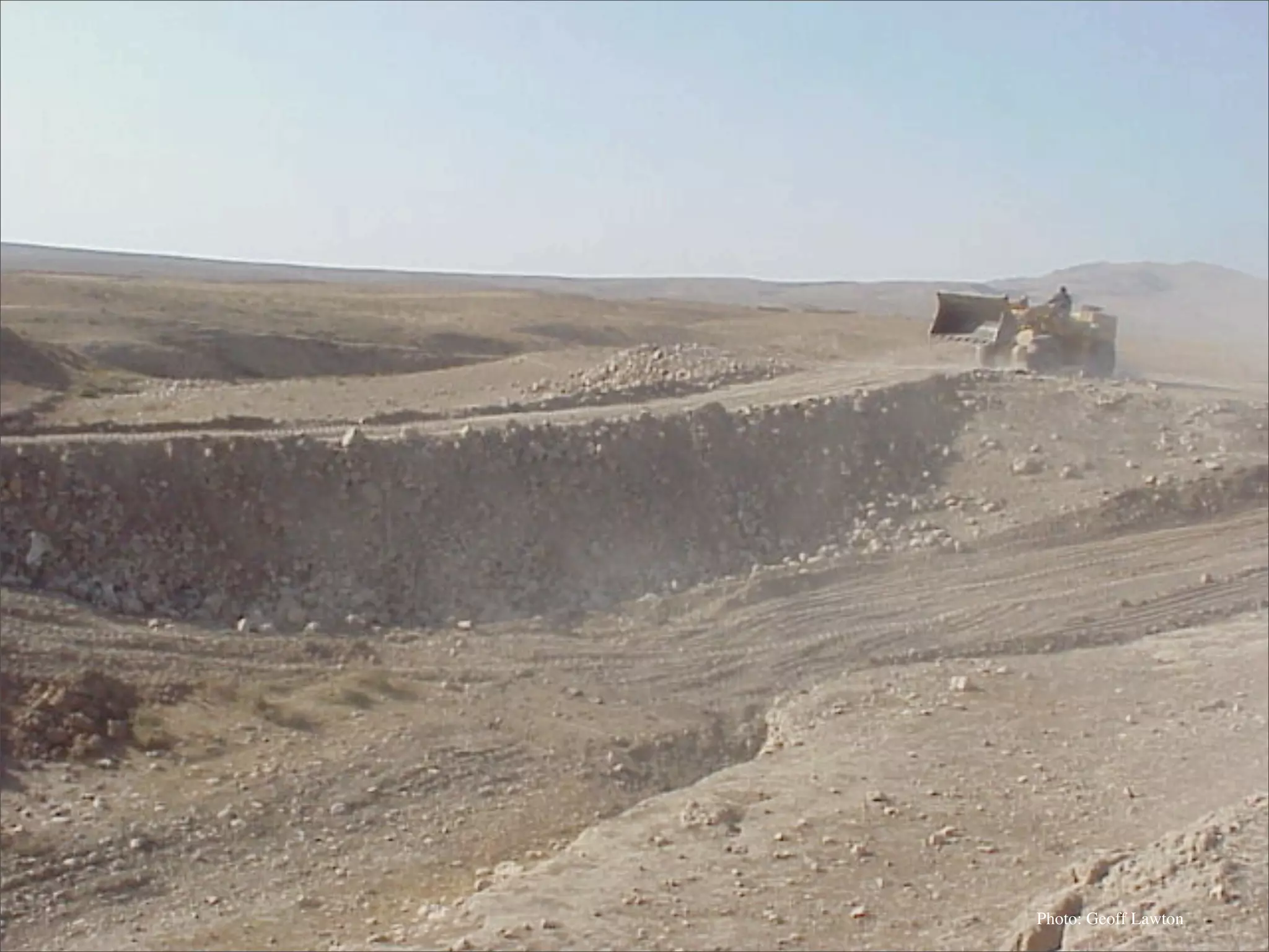 Permaculture: Regenerative Design for Radical Transition