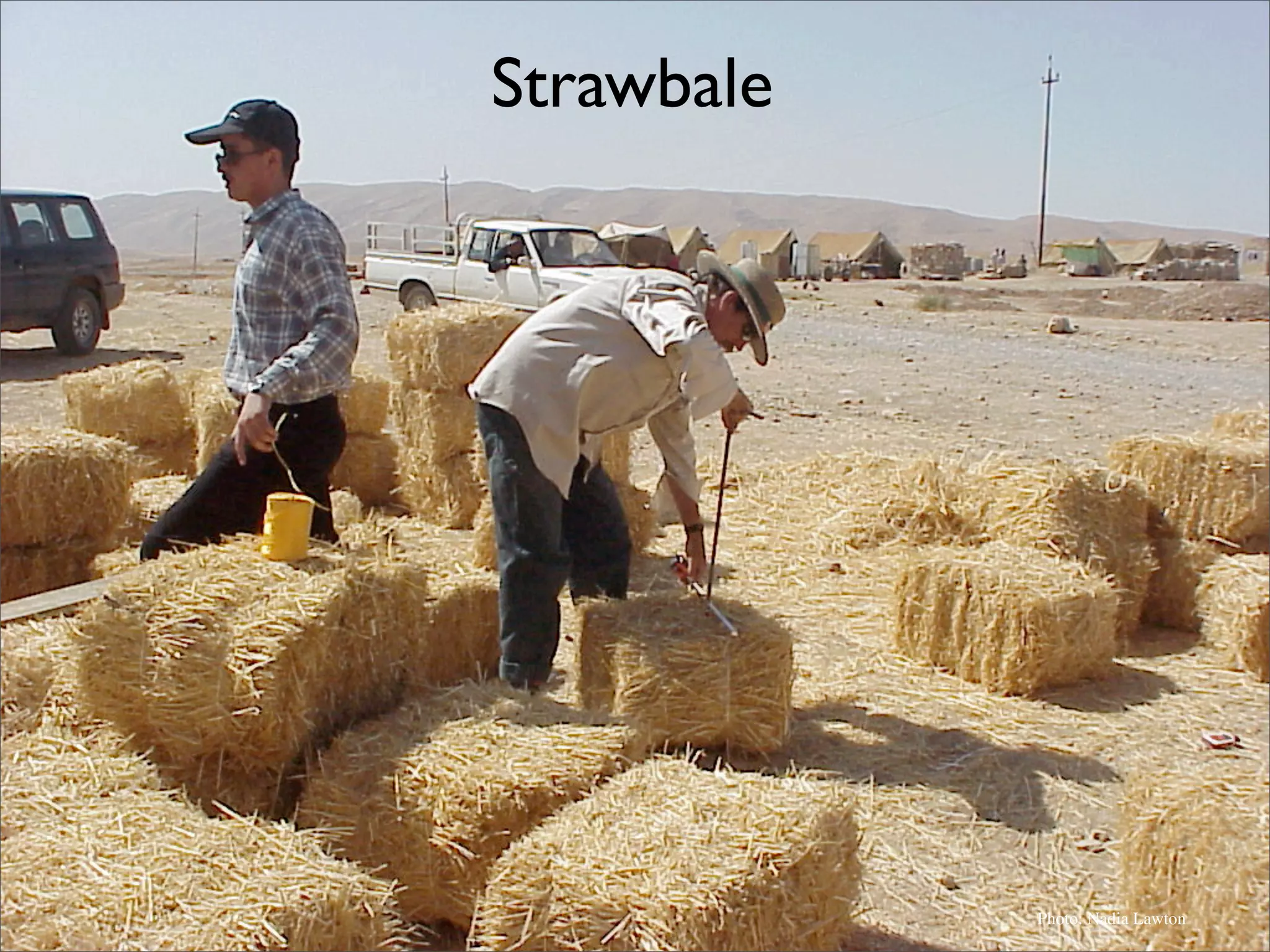 Permaculture: Regenerative Design for Radical Transition