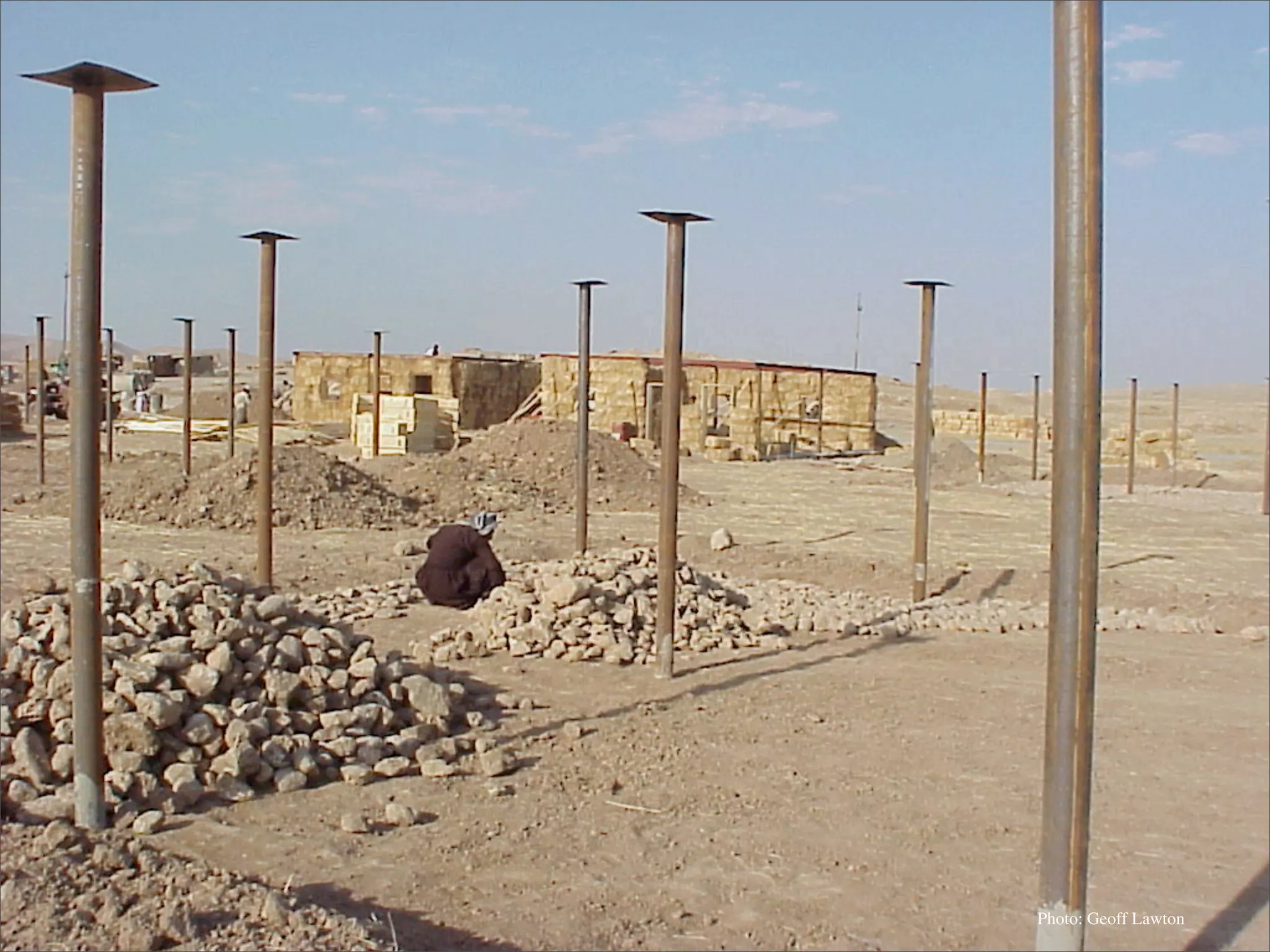 Permaculture: Regenerative Design for Radical Transition