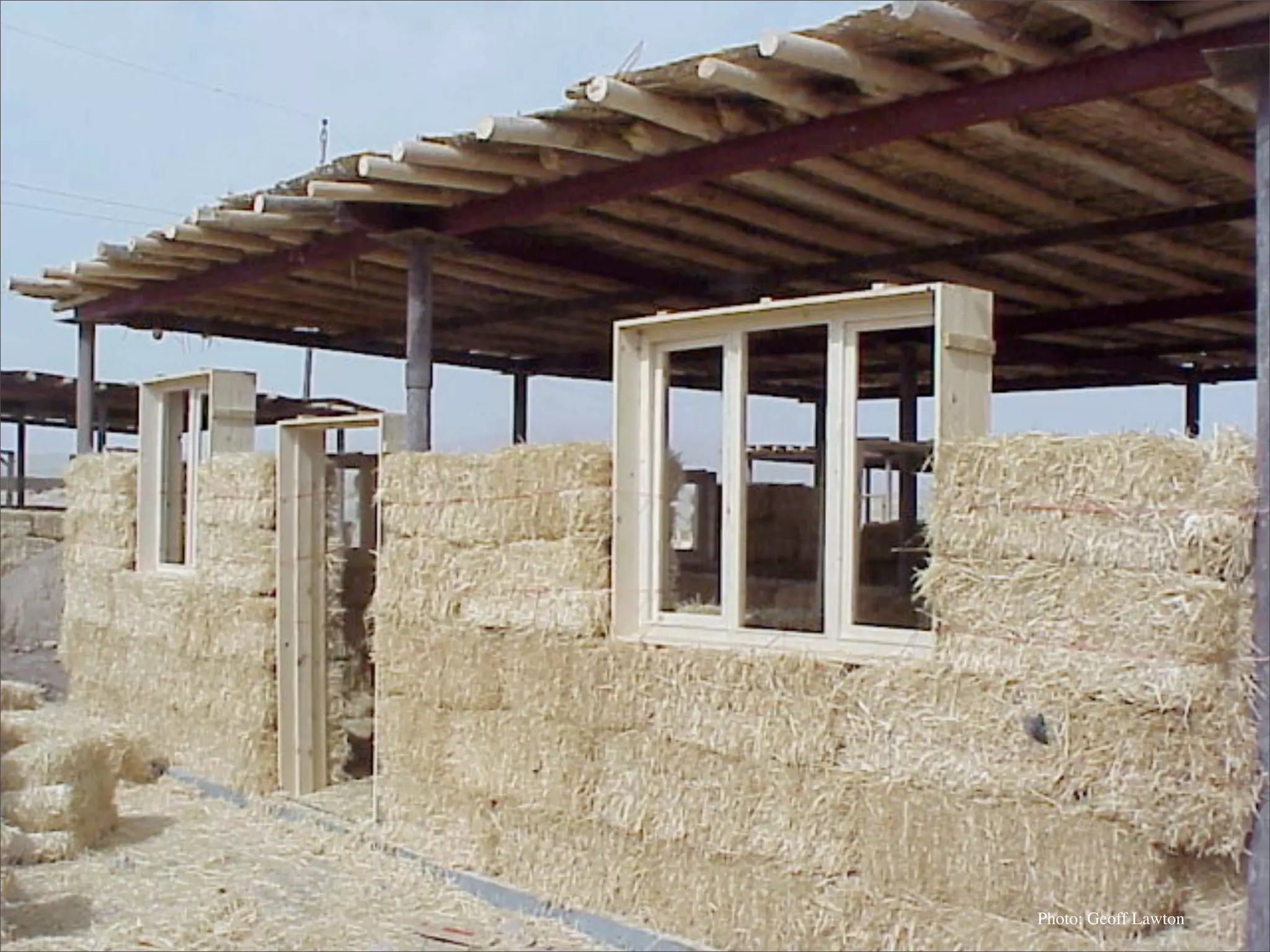 Permaculture: Regenerative Design for Radical Transition