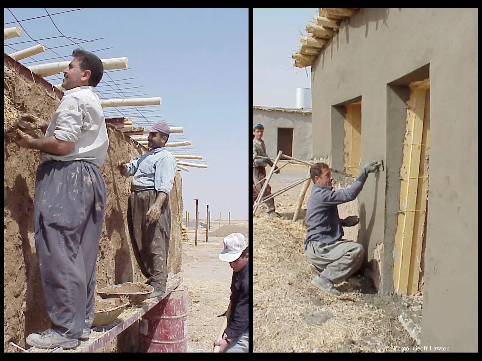 Permaculture: Regenerative Design for Radical Transition