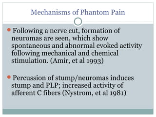 Mechanisms of Phantom Pain
Following a nerve cut, formation of
neuromas are seen, which show
spontaneous and abnormal evoked activity
following mechanical and chemical
stimulation. (Amir, et al 1993)
Percussion of stump/neuromas induces
stump and PLP; increased activity of
afferent C fibers (Nystrom, et al 1981)
 