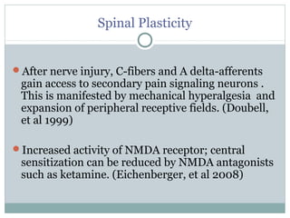 Spinal Plasticity
After nerve injury, C-fibers and A delta-afferents
gain access to secondary pain signaling neurons .
This is manifested by mechanical hyperalgesia and
expansion of peripheral receptive fields. (Doubell,
et al 1999)
Increased activity of NMDA receptor; central
sensitization can be reduced by NMDA antagonists
such as ketamine. (Eichenberger, et al 2008)
 
