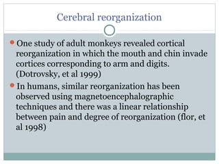 Cerebral reorganization
One study of adult monkeys revealed cortical
reorganization in which the mouth and chin invade
cortices corresponding to arm and digits.
(Dotrovsky, et al 1999)
In humans, similar reorganization has been
observed using magnetoencephalographic
techniques and there was a linear relationship
between pain and degree of reorganization (flor, et
al 1998)
 