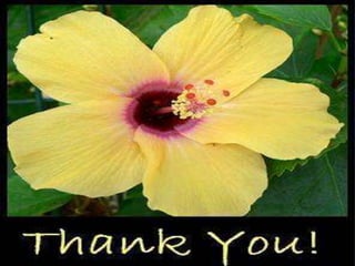 K.SAMINATHAN. M.pharm, M.B.A,( P.hD)
Allianze college of medical sciences 38
 