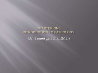 Dr. Temesgen chali(MD)
 