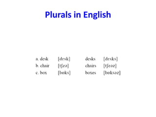 Plurals in English
 
