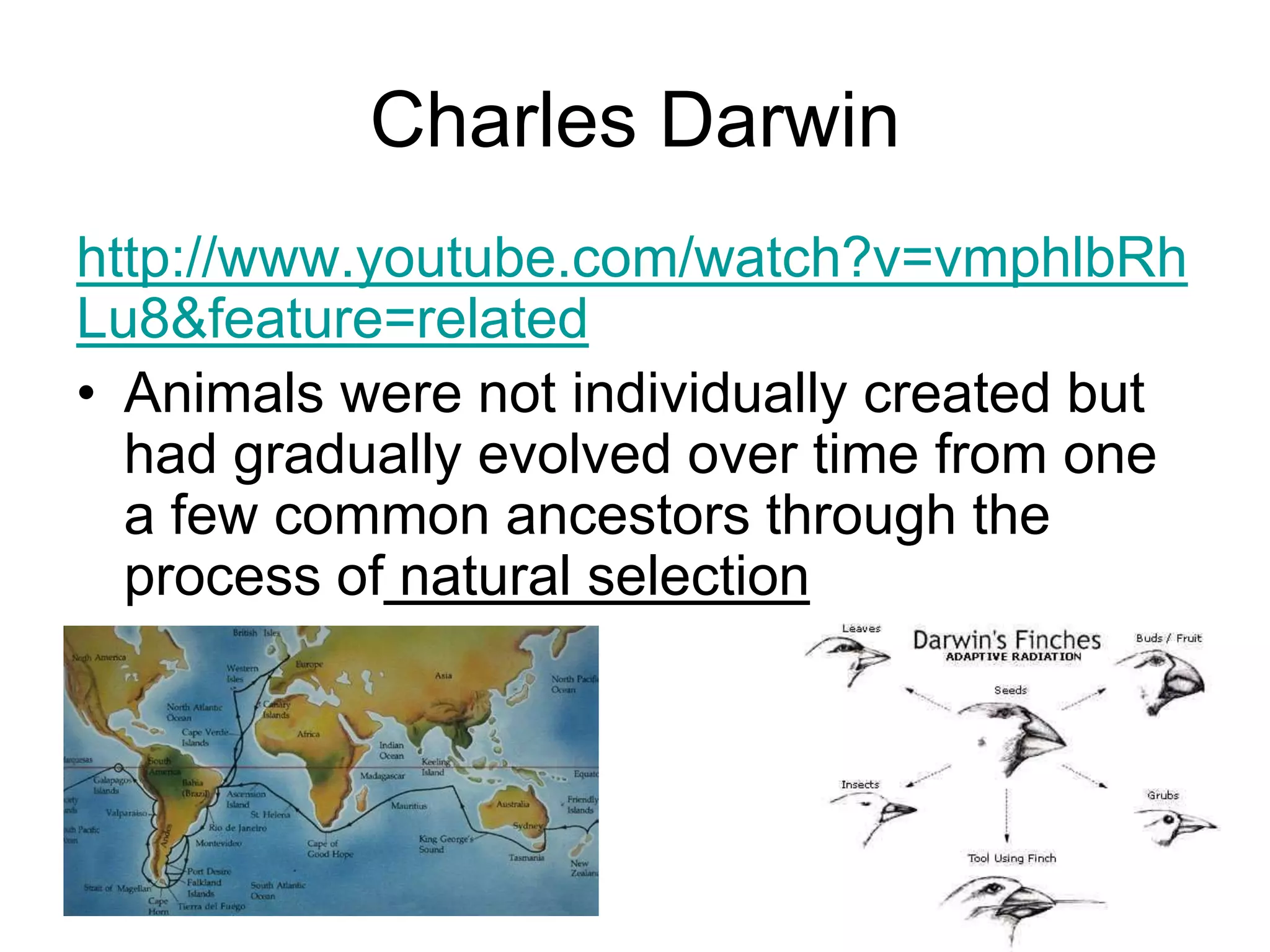 Charles Darwin
http://www.youtube.com/watch?v=vmphlbRh
Lu8&feature=related
• Animals were not individually created but
had gradually evolved over time from one
a few common ancestors through the
process of natural selection

 