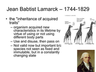 Jean Babtist Lamarck – 1744-1829
• the "inheritance of acquired
traits“
– organism acquired new
characteristics in its lifetime by
virtue of using or not using
different body parts
– Use and disuse, then pass on
– Not valid now but important b/c
species not seen as fixed and
immutable, but in a constantly
changing state

 