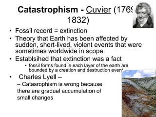 Catastrophism - Cuvier (17691832)
• Fossil record = extinction
• Theory that Earth has been affected by
sudden, short-lived, violent events that were
sometimes worldwide in scope
• Establsihed that extinction was a fact
• fossil forms found in each layer of the earth are
bounded by a creation and destruction event

•

Charles Lyell –
– Catasrophism is wrong because
there are gradual accumulation of
small changes

 