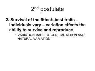 2nd postulate
2. Survival of the fittest: best traits –
individuals vary – variation effects the
ability to survive and reproduce
• VARIATION MADE BY GENE MUTATION AND
NATURAL VARIATION

 