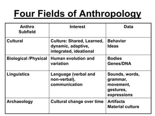 Four Fields of Anthropology
Anthro
Subfield
Cultural

Interest

Data

Culture: Shared, Learned, Behavior
dynamic, adaptive,
Ideas
integrated, ideational

Biological /Physical Human evolution and
variation

Bodies
Genes/DNA

Linguistics

Language (verbal and
non-verbal),
communication

Sounds, words,
grammar,
movement,
gestures,
expressions

Archaeology

Cultural change over time Artifacts
Material culture

 
