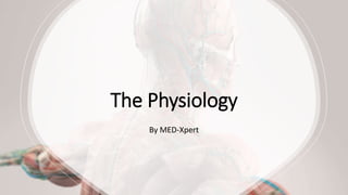 The Physiology
By MED-Xpert
 